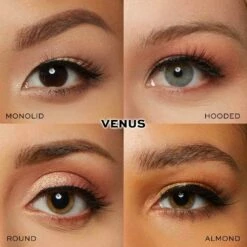 Promo 🔥 glamnetic Venus 🎉 -Cheapglamnetic Store Venus Eyegrid c621b3a8 9061 4c34 a19b 9f7c317862a5
